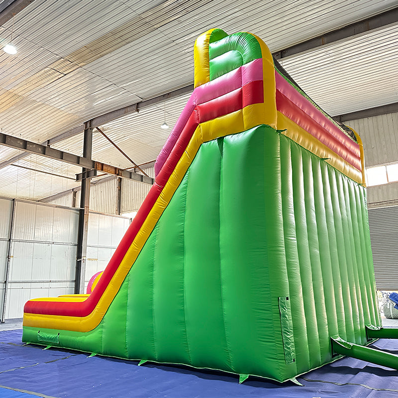 Climb Dual Lane Amusement Park Bouncer Castle Inflatable Water Slide for Sale