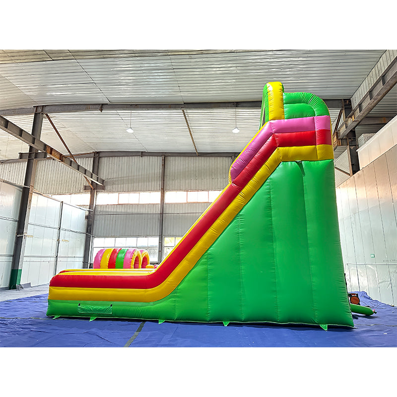 Climb Dual Lane Amusement Park Bouncer Castle Inflatable Water Slide for Sale