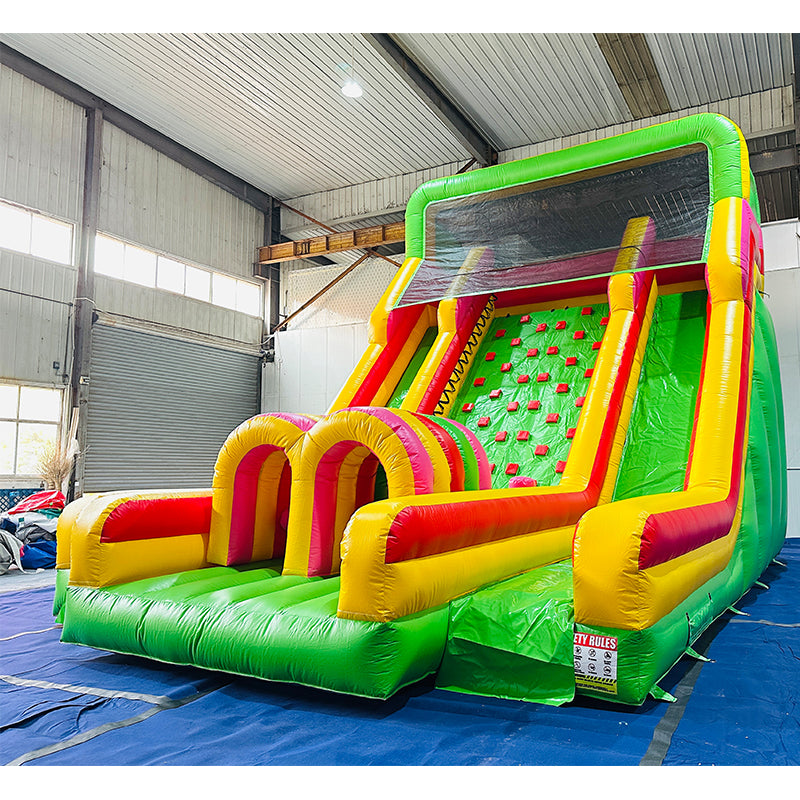 Climb Dual Lane Amusement Park Bouncer Castle Inflatable Water Slide for Sale