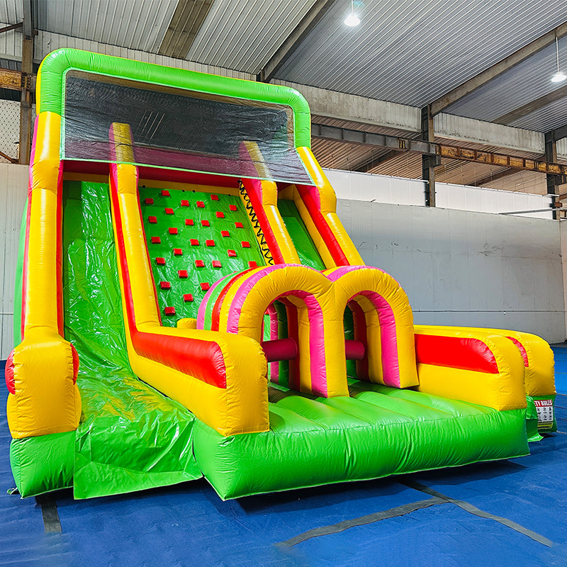 Climb Dual Lane Amusement Park Bouncer Castle Inflatable Water Slide for Sale