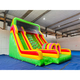 Climb Dual Lane Amusement Park Bouncer Castle Inflatable Water Slide for Sale