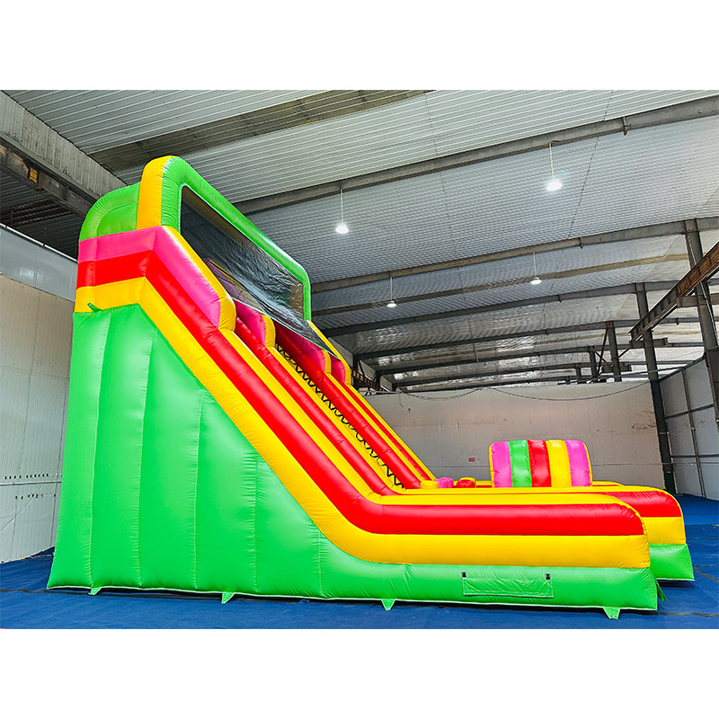 Climb Dual Lane Amusement Park Bouncer Castle Inflatable Water Slide for Sale