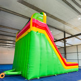 Climb Dual Lane Amusement Park Bouncer Castle Inflatable Water Slide for Sale