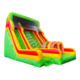 Climb Dual Lane Amusement Park Bouncer Castle Inflatable Water Slide for Sale