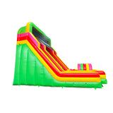 Climb Dual Lane Amusement Park Bouncer Castle Inflatable Water Slide for Sale