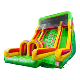 Climb Dual Lane Amusement Park Bouncer Castle Inflatable Water Slide for Sale