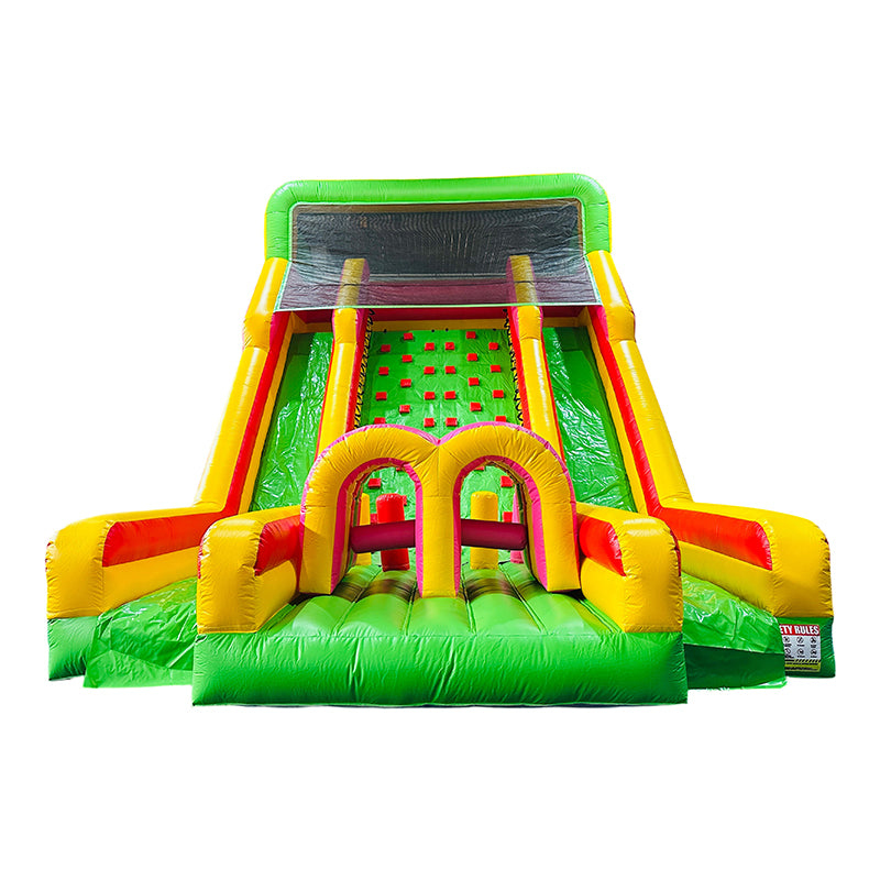 Climb Dual Lane Amusement Park Bouncer Castle Inflatable Water Slide for Sale